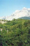 Имя файла=crimea52.jpg
Размер файла=74КБ
Размеры=521x800
Дата=Фев 17, 2007 crimea52.jpg