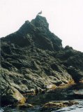 Имя файла=karadag01.jpg
Размер файла=72КБ
Размеры=597x800
Дата=Фев 17, 2007 karadag01.jpg