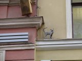 Имя файла=DSC00017.jpg
Размер файла=50КБ
Размеры=800x600
Дата=Фев 17, 2007 DSC00017.jpg