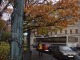 Имя файла=DSC00023.jpg
Размер файла=138КБ
Размеры=800x600
Дата=Фев 17, 2007 DSC00023.jpg