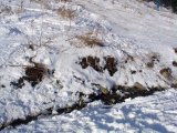 Имя файла=DSC00571.jpg
Размер файла=129КБ
Размеры=898x674
Дата=Фев 17, 2007 DSC00571.jpg