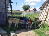 Имя файла=DSC02757.jpg
Размер файла=79КБ
Размеры=800x600
Дата=Фев 17, 2007 DSC02757.jpg