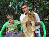 Имя файла=DSC02900.jpg
Размер файла=116КБ
Размеры=800x600
Дата=Фев 17, 2007 DSC02900.jpg