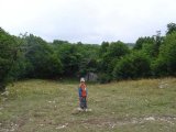 DSC02996.jpg