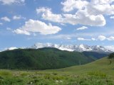 DSC01688.jpg