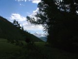 DSC01689.jpg
