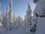 Имя файла=DSC02988.JPG
Размер файла=179КБ
Размеры=1200x900
Дата=Март 06, 2007 DSC02988.JPG