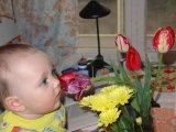 Имя файла=DSC01507.JPG
Размер файла=113КБ
Размеры=1024x768
Дата=Фев 16, 2007 DSC01507.JPG