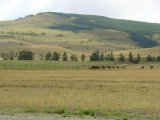 Имя файла=DSC05433.JPG
Размер файла=126КБ
Размеры=1024x768
Дата=Фев 16, 2007 DSC05433.JPG