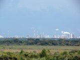 Имя файла=DSC00305.jpg
Размер файла=197КБ
Размеры=1152x864
Дата=Фев 16, 2007 DSC00305.jpg