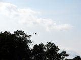 Имя файла=DSC00500.jpg
Размер файла=123КБ
Размеры=1152x864
Дата=Фев 16, 2007 DSC00500.jpg