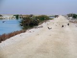 DSC06172.jpg