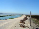 DSC06180.jpg