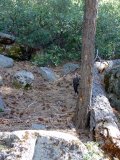 DSC06512.jpg
