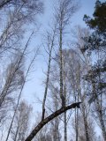Имя файла=DSC07257.jpg
Размер файла=480КБ
Размеры=900x1200
Дата=Март 05, 2007 DSC07257.jpg