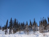 Имя файла=DSC08524.JPG
Размер файла=296КБ
Размеры=1365x1024
Дата=Фев 16, 2007 DSC08524.JPG
