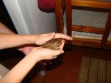Имя файла=DSC00420.JPG
Размер файла=76КБ
Размеры=1365x1024
Дата=Июль 11, 2007 DSC00420.JPG