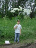 Имя файла=DSC00571.JPG
Размер файла=313КБ
Размеры=1024x1365
Дата=Июль 11, 2007 DSC00571.JPG