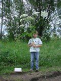 Имя файла=DSC00572.JPG
Размер файла=338КБ
Размеры=1024x1365
Дата=Июль 11, 2007 DSC00572.JPG