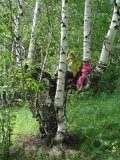 Имя файла=DSC00669.JPG
Размер файла=351КБ
Размеры=1024x1365
Дата=Июль 11, 2007 DSC00669.JPG