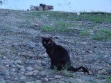 Имя файла=DSC00788.JPG
Размер файла=204КБ
Размеры=1365x1024
Дата=Июль 11, 2007 DSC00788.JPG