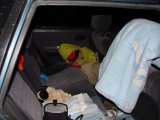 Имя файла=DSC02389.JPG
Размер файла=78КБ
Размеры=1024x768
Дата=Март 21, 2008 DSC02389.JPG