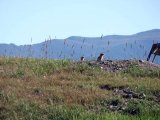 Имя файла=DSC02777.JPG
Размер файла=120КБ
Размеры=1024x768
Дата=Март 21, 2008 DSC02777.JPG