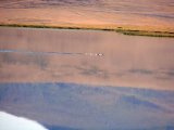 Имя файла=DSC02784.JPG
Размер файла=53КБ
Размеры=1024x768
Дата=Март 21, 2008 DSC02784.JPG