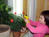 Имя файла=DSC04520.JPG
Размер файла=158КБ
Размеры=1280x960
Дата=Авг 26, 2008 DSC04520.JPG