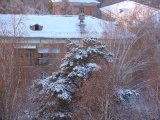 Имя файла=DSC00884.jpg
Размер файла=134КБ
Размеры=800x600
Дата=Фев 16, 2007 DSC00884.jpg