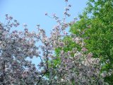 DSC02019.jpg