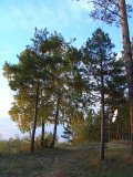 Имя файла=DSC03287.jpg
Размер файла=123КБ
Размеры=600x800
Дата=Фев 16, 2007 DSC03287.jpg